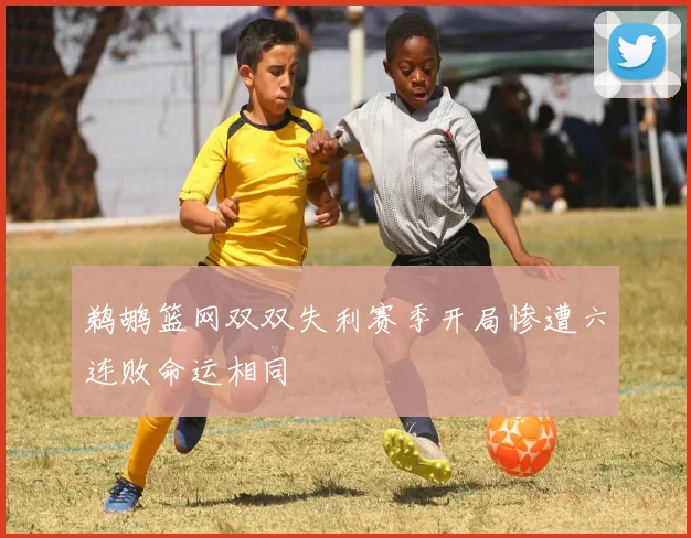鹈鹕篮网双双失利赛季开局惨遭六连败命运相同