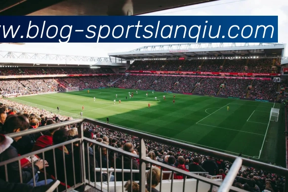 篮球赌注APP 封面图